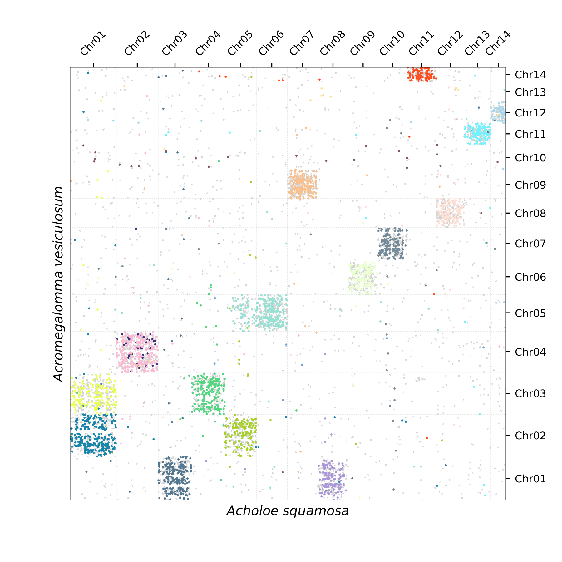 Synteny Plot